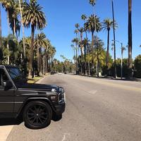 Отзыв от Антон - DTV виза